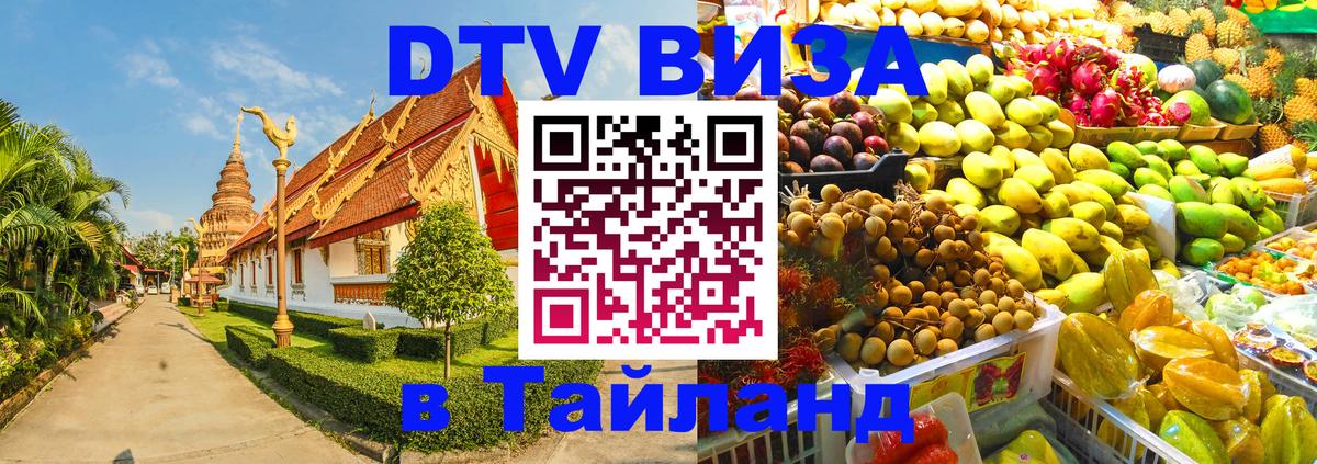 Оформление DTV визы под ключ: стоимость и тарифы, только загранпаспорт - Ноябрьск  20.11.2025 